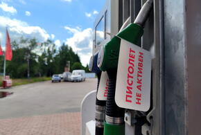 Жадные водители берут бензин с запасом, оставляя без топлива других. Где сегодня купить горючее в Краснодаре? 