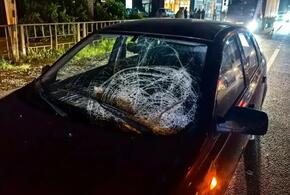 3-летняя девочка умерла в больнице после наезда 90-летнего пенсионера в Северском районе 