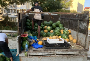 Арбузы на Кубани вот-вот очень сильно подешевеют: аналитики дали прогноз 
