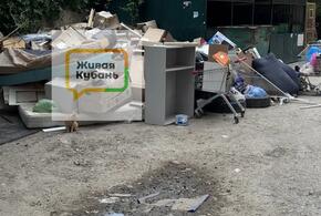 Общая сумма контрактов составила 1,8 млрд рублей
