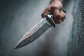 Молодой ревнивец зарезал 14-летнюю школьницу в поселке под Ростовом