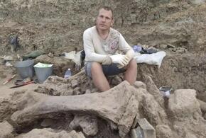 На территории Кубани когда-то водились слоны. В Темрюкском районе нашли останки шести древних животных. Есть еще интересные находки 