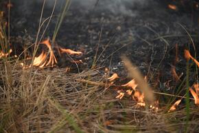 Более 60 дронов сбили над Ростовской областью