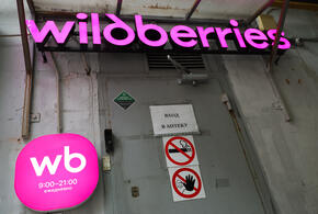 Пострадавший от БПЛА Wildberries и бизнесмены, работающие с ним, получат отсрочку по налогам 
