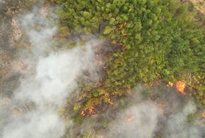 К борьбе с огнем присоединились добровольцы со всего Крыма