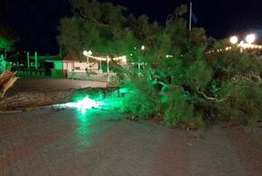 Власти устраняют последствия