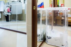 В регионе отмечают высокую явку избирателей