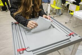 Проголосовала четверть избирателей