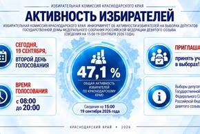Краевая избирательная комиссия рассказала об активности жителей