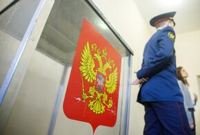 На Кубани за выборами следят круглосуточно. Видеостена, юристы, волонтёры и горячая линия — как устроен общественный контроль в регионе 