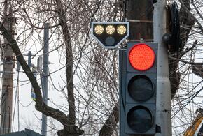 Пенсионеры объявили войну светофорам: пожилая пара решила, что регулировщики являются электронным оружием 