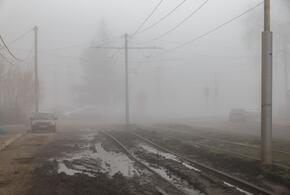 Поезд «Печора — Новороссийск» столкнулся с комбайном 