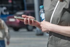 В День интернета россияне рассказали, почему отказываются от использования «всемирной паутины» 