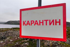 Опасный очаг обнаружили в Усть-Лабинском районе