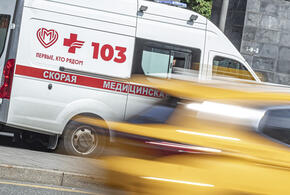 Девочка распылила газ и бросила горючую смесь