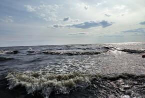 Вода в Азовском море стремительно меняется. Побит 150-летний рекорд по осолонению: учёные рассказали, чем это грозит 
