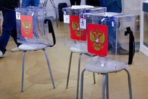 За время избирательной кампании возбудили 22 уголовных дела. Что произошло?