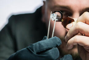 Фото: Ilya Moskovets/globallookpress