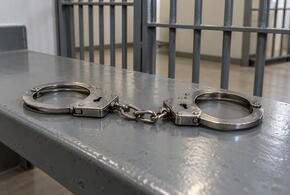 Годами преступники оставались безнаказанными, но одна зацепка все изменила