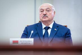 «Господь с ними, пусть отгораживаются»: Лукашенко поблагодарил Запад за возведение заборов на границе с Белоруссией 