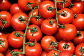 Продукт при низкой температуре становится на вкус пластиковым
