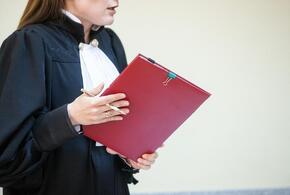 Хозяину хаски, изувечивших мальчика в Сочи, придётся заплатить 15 млн рублей 