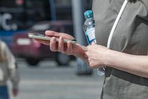 Проблемы заметили у нескольких крупных платформ, а на работу поисковика поступили тысячи жалоб