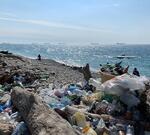 Без флагов: 395 пляжей Кубани не прошли классификацию Ростуризма