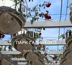 Фонтан из роз: о новой локации рассказали в краснодарском парке Галицкого