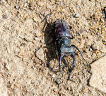 Отсутствие осадков привело к ощутимым потерям урожая