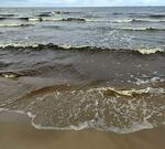 Дети орали и пытались уползти: в Сочи отец закинул малышей в море, несмотря на их активное сопротивление