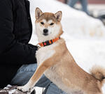 Местные говорят, что сигнал тревоги звучит только после взрывов
