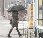 Что говорят переселенцы?