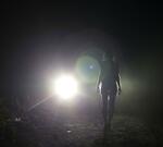 Фото: globallookpress\© Andrey Arkusha