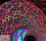 В парке Галицкого в Краснодаре прекратила свою работу «Кроличья нора»