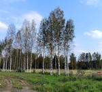 Потепление будет омрачено: прогноз погоды в Краснодарском крае на неделю с 9 по 15 марта