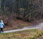 Дикие животные освоились на Суджукской косе
