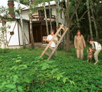 Сколько денег на обустройство дачи тратят краснодарцы