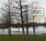 Жители и гости города, которые в минувшие выходные посетили жемчужину Юга, терялись в догадках при виде белой дымки