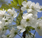  Краснодарский край в это время года преображается