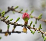 Где будет 23 градуса тепла? Погода в Краснодарском крае на выходные