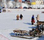 Участники СВО с Кубани теперь могут претендовать на арктический гектар