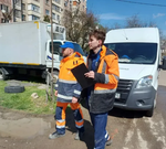 В Краснодаре выяснили причины появления коричневой воды из кранов