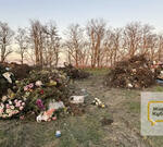 Люди обзванивают инстанции с просьбами убрать свалку и наказать виновных