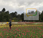 Прогулка по цветущему парку. Фоторепортаж