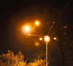 Фото: globallookpress\© Elena Mayorova