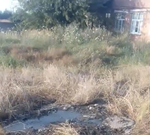 В кубанской станице Темижбекской люди пятый год дышат ужасным смрадом канализации. На удивление, вонючая река течёт из местного кондитерского цеха