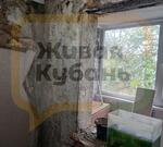 Местные власти бездействуют, и никто не решает проблемы с плесенью, сыростью и гнилью 